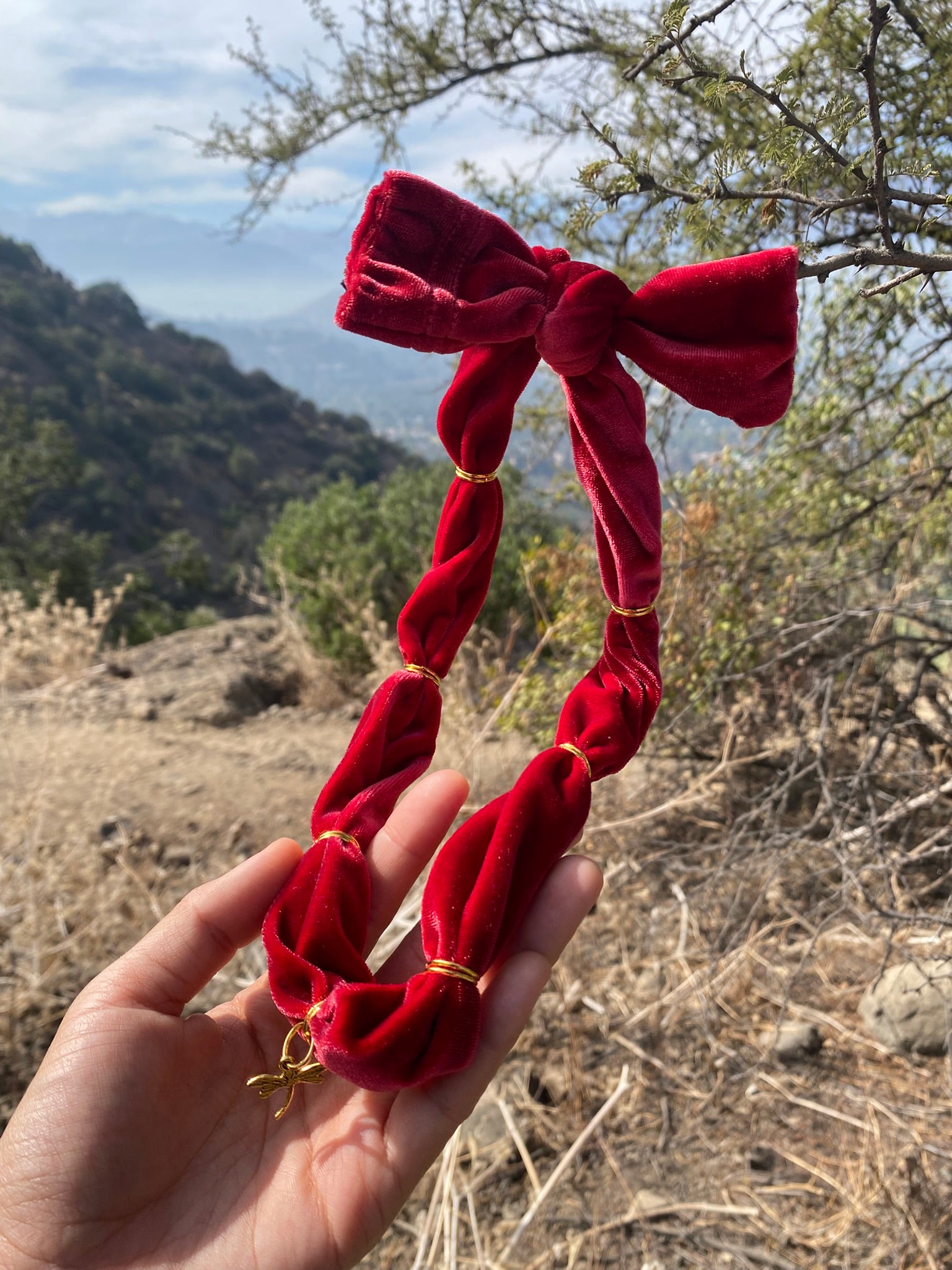 Collar Grueso Terciopelo Libélula Rojo